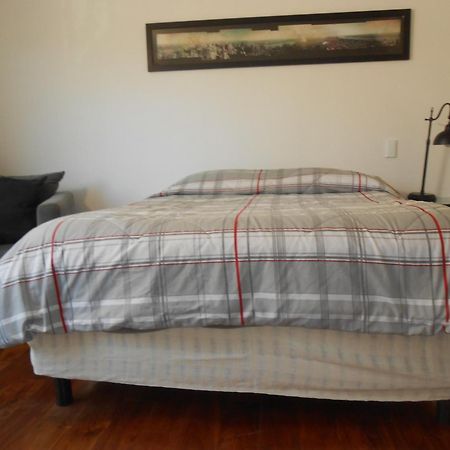 Terraza & Loft San Angel Apartment Mexico City Ngoại thất bức ảnh