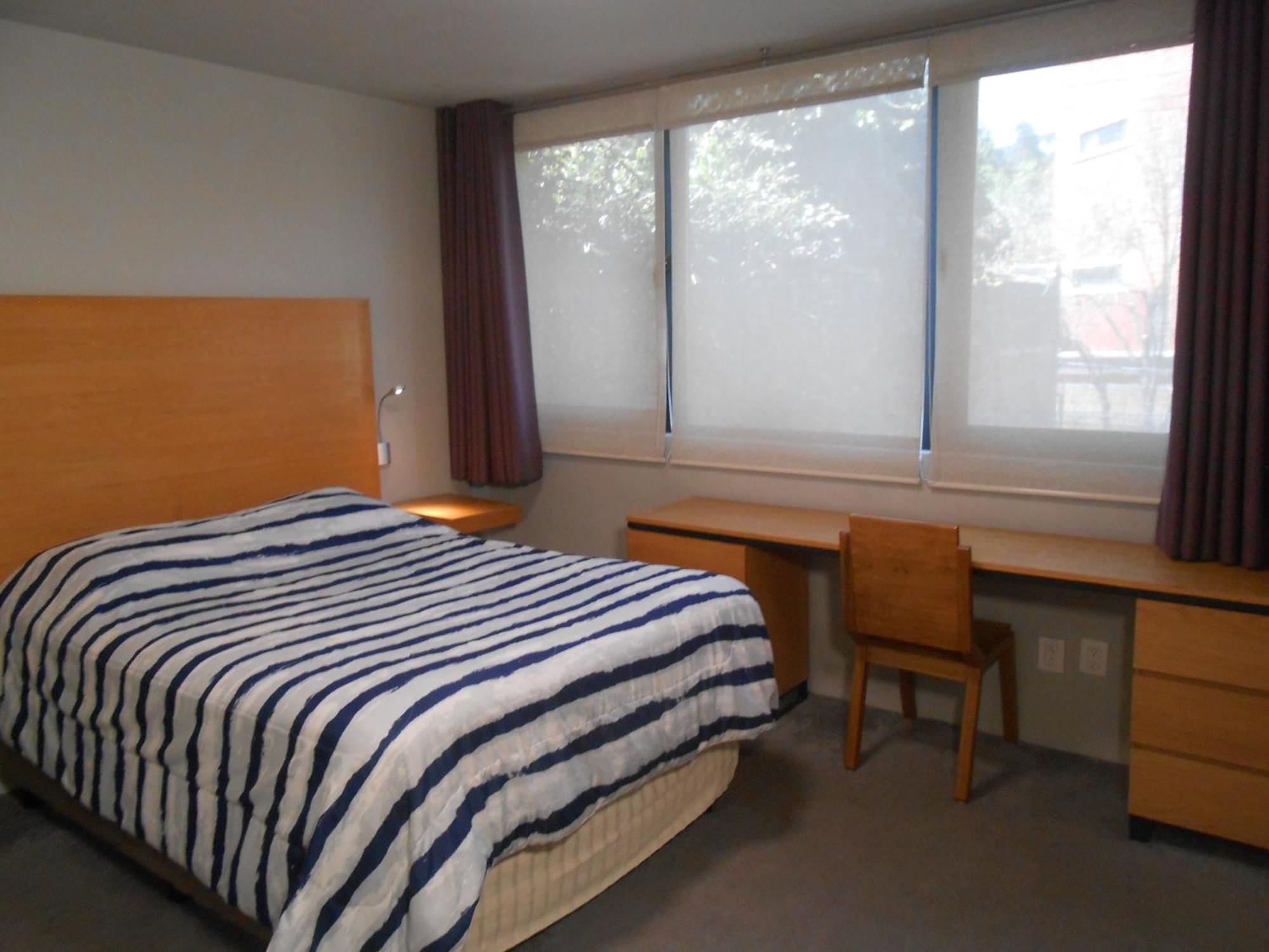 Terraza & Loft San Angel Apartment Mexico City Ngoại thất bức ảnh