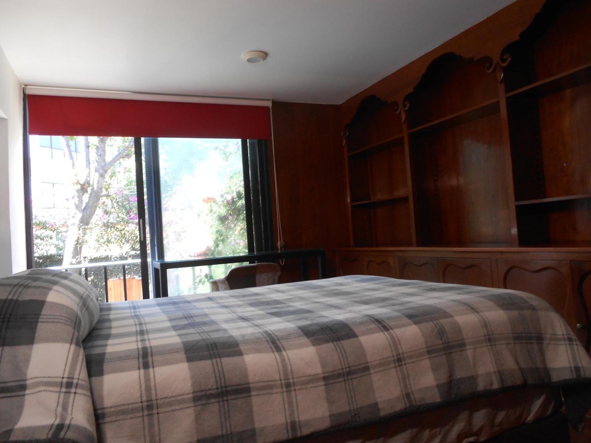 Terraza & Loft San Angel Apartment Mexico City Ngoại thất bức ảnh