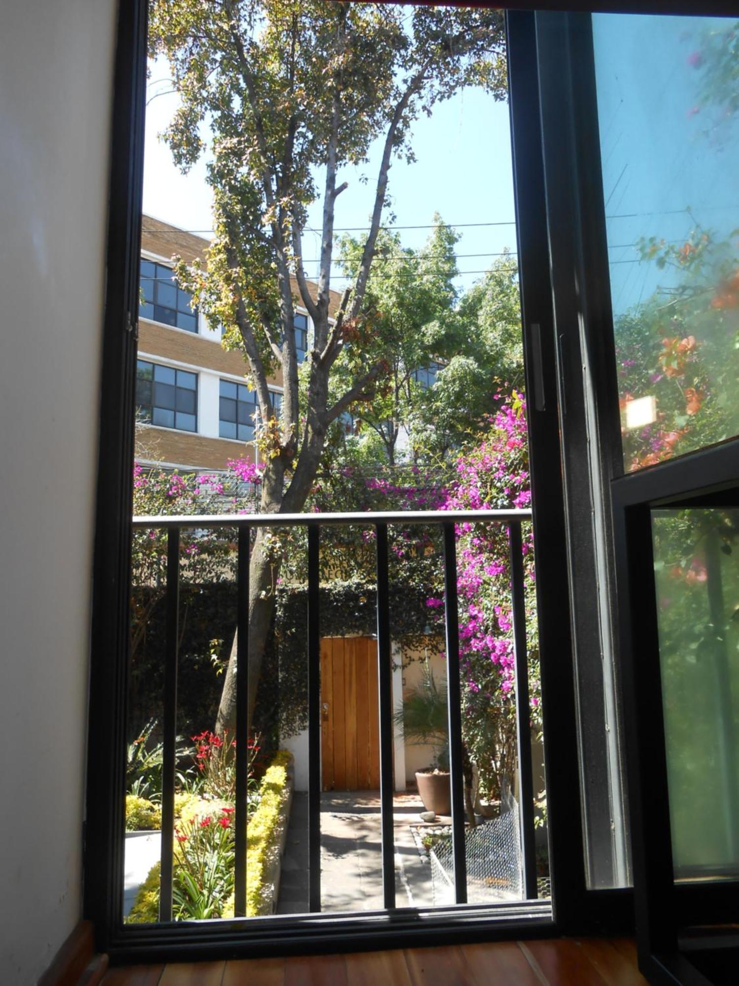 Terraza & Loft San Angel Apartment Mexico City Ngoại thất bức ảnh