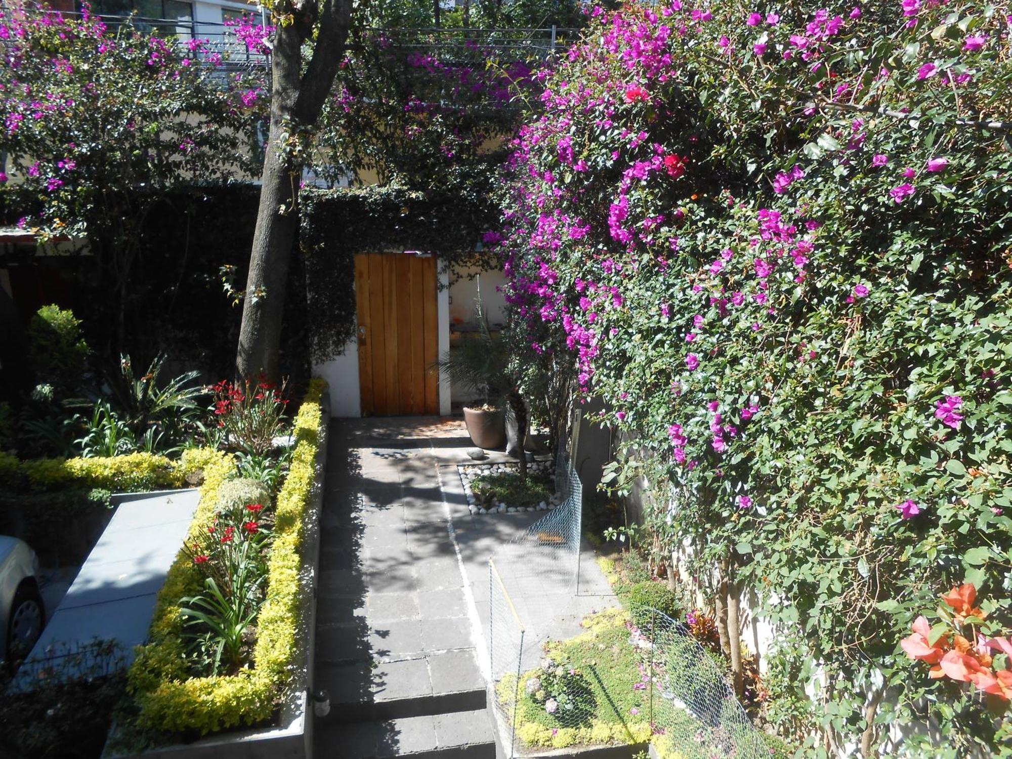 Terraza & Loft San Angel Apartment Mexico City Ngoại thất bức ảnh