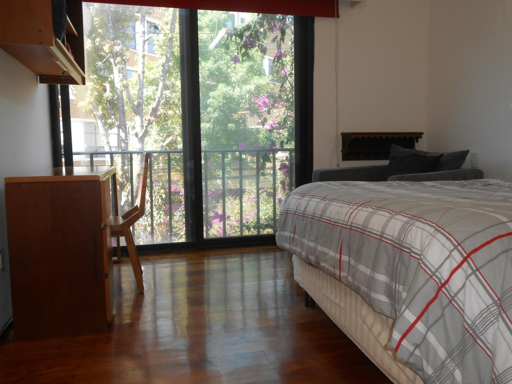 Terraza & Loft San Angel Apartment Mexico City Ngoại thất bức ảnh