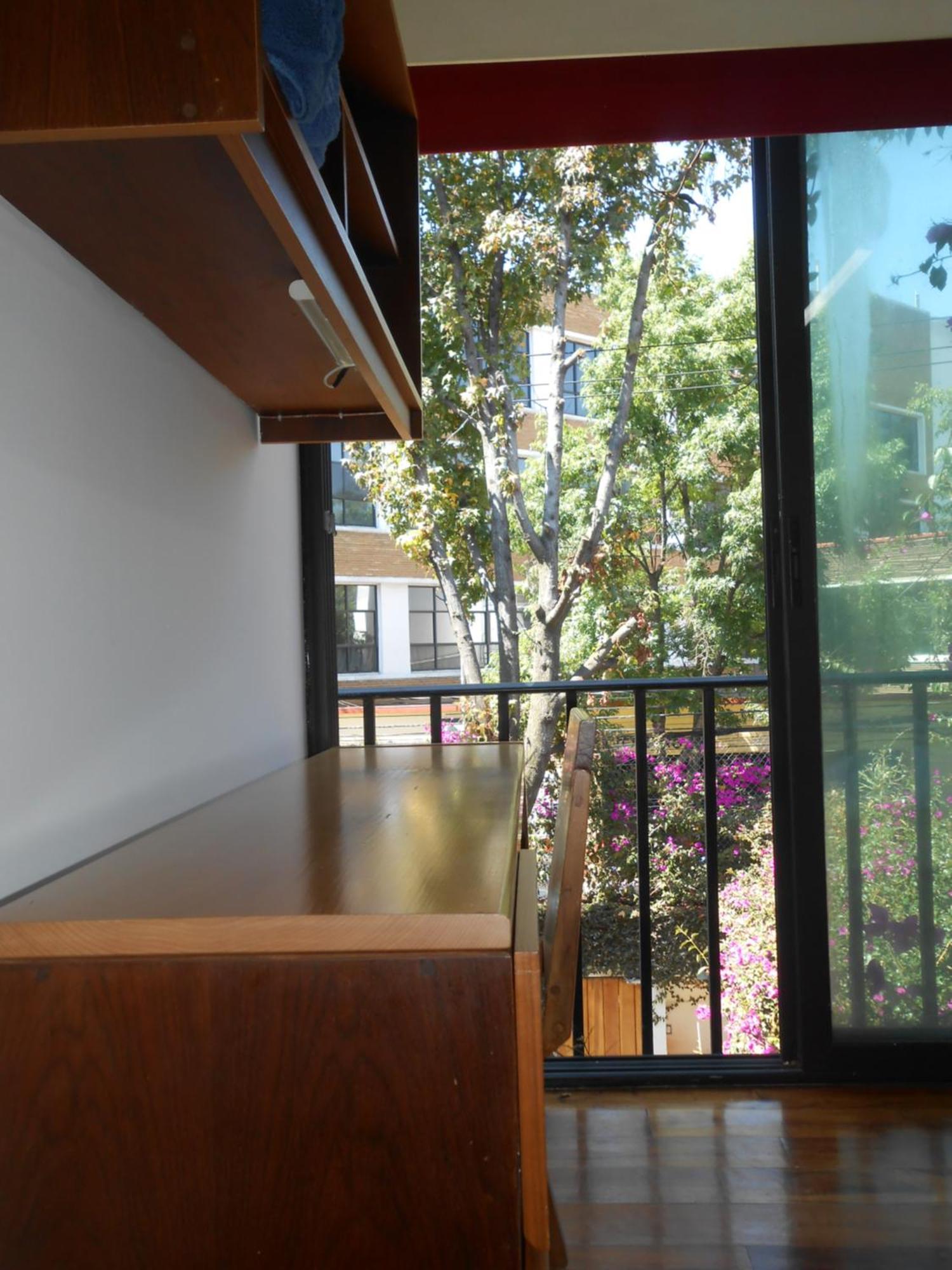 Terraza & Loft San Angel Apartment Mexico City Ngoại thất bức ảnh