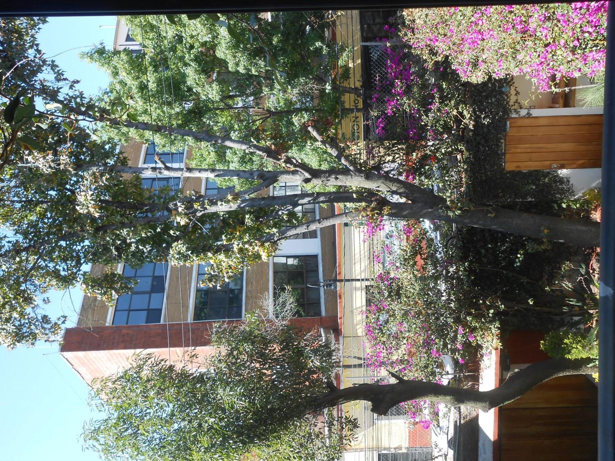 Terraza & Loft San Angel Apartment Mexico City Ngoại thất bức ảnh