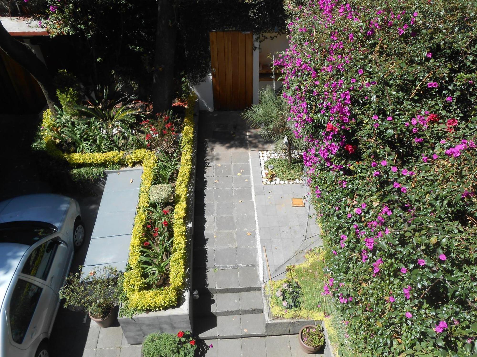 Terraza & Loft San Angel Apartment Mexico City Ngoại thất bức ảnh