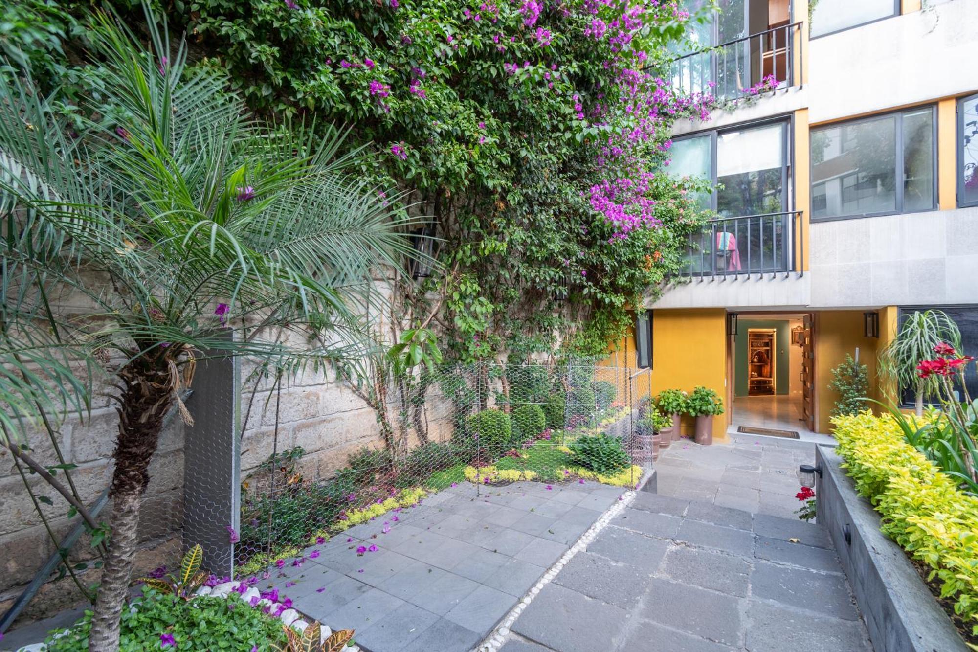 Terraza & Loft San Angel Apartment Mexico City Ngoại thất bức ảnh