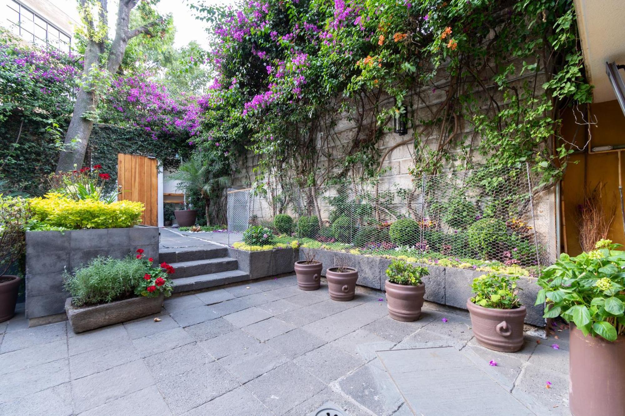 Terraza & Loft San Angel Apartment Mexico City Ngoại thất bức ảnh
