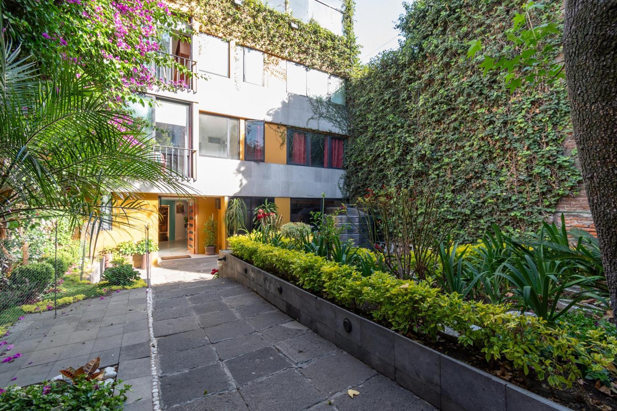 Terraza & Loft San Angel Apartment Mexico City Ngoại thất bức ảnh