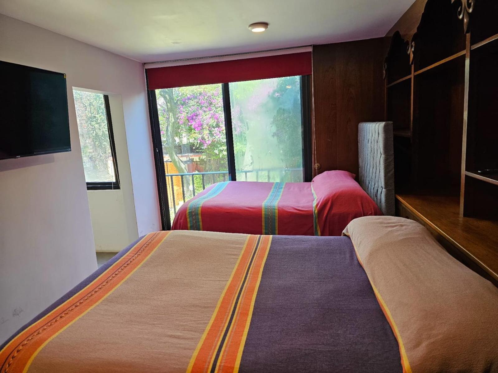 Terraza & Loft San Angel Apartment Mexico City Ngoại thất bức ảnh