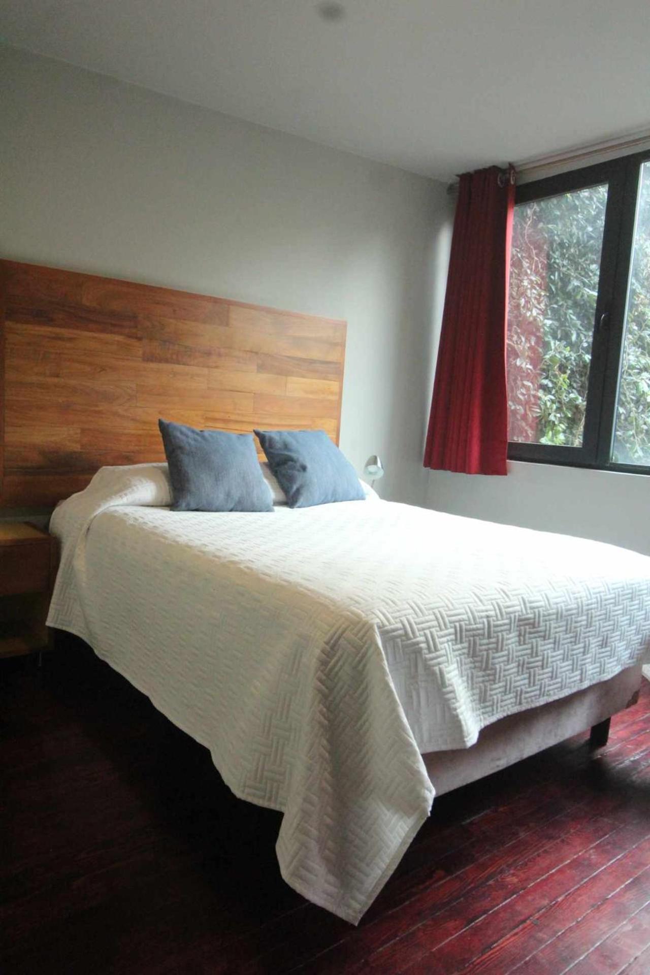 Terraza & Loft San Angel Apartment Mexico City Ngoại thất bức ảnh