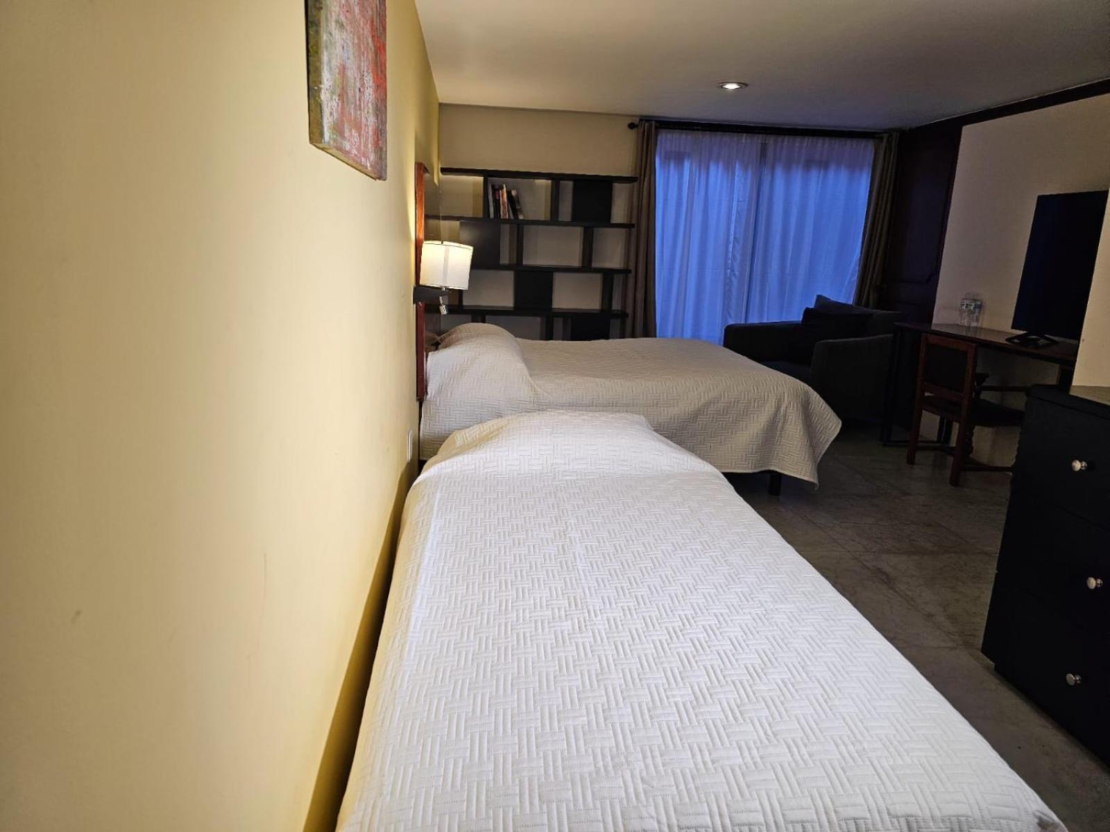 Terraza & Loft San Angel Apartment Mexico City Ngoại thất bức ảnh
