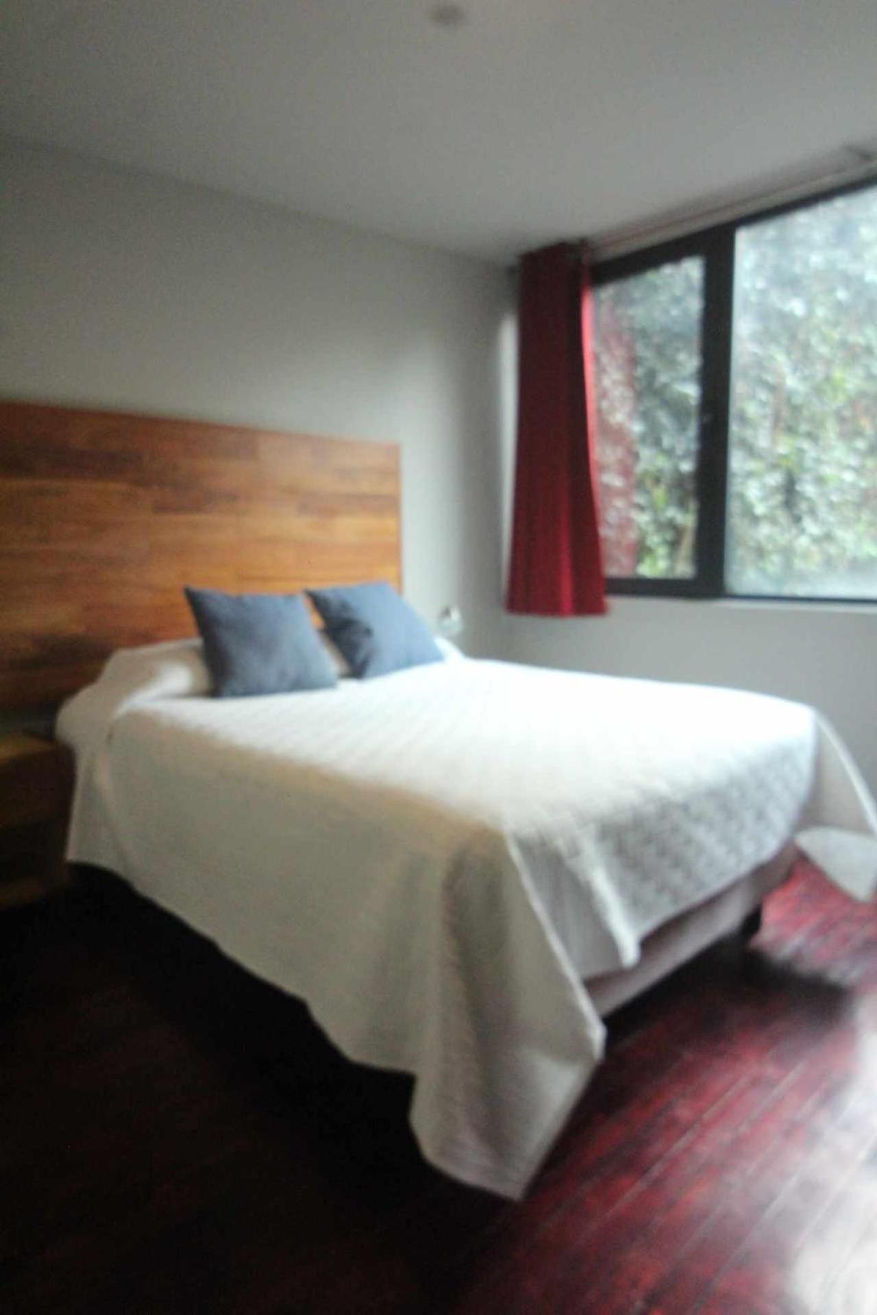 Terraza & Loft San Angel Apartment Mexico City Ngoại thất bức ảnh