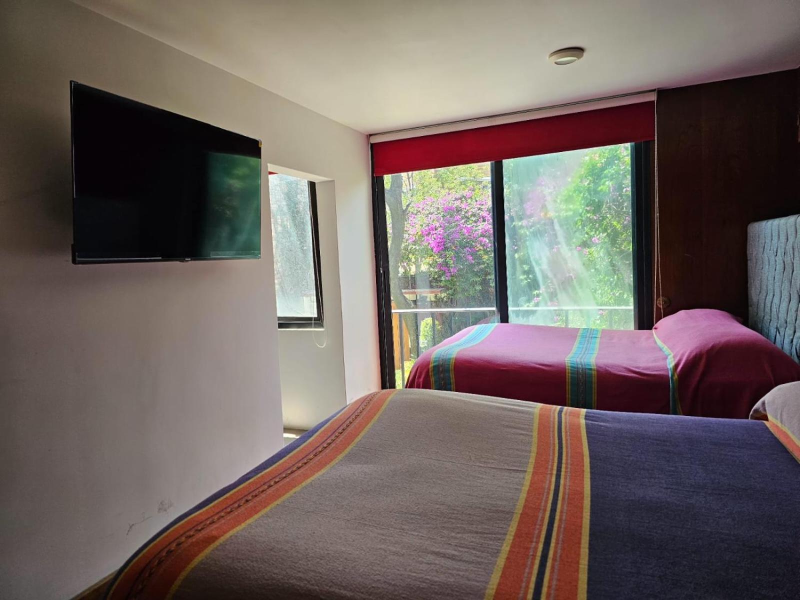 Terraza & Loft San Angel Apartment Mexico City Ngoại thất bức ảnh