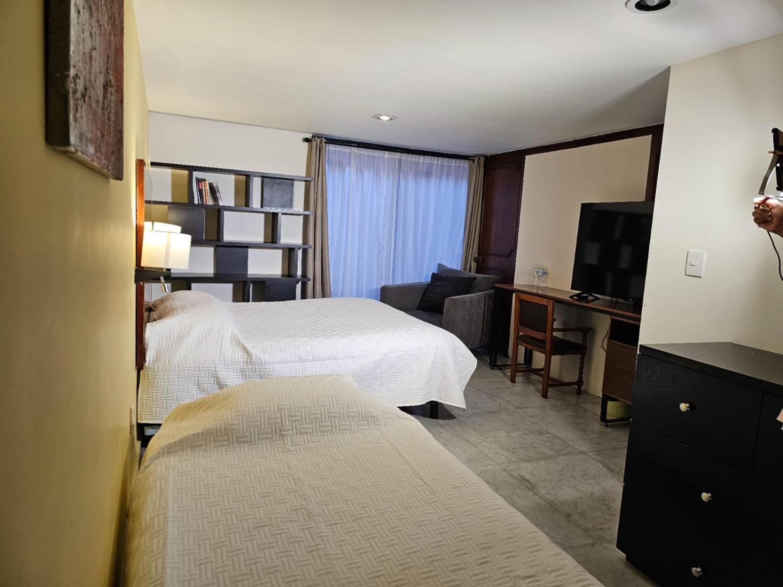 Terraza & Loft San Angel Apartment Mexico City Ngoại thất bức ảnh