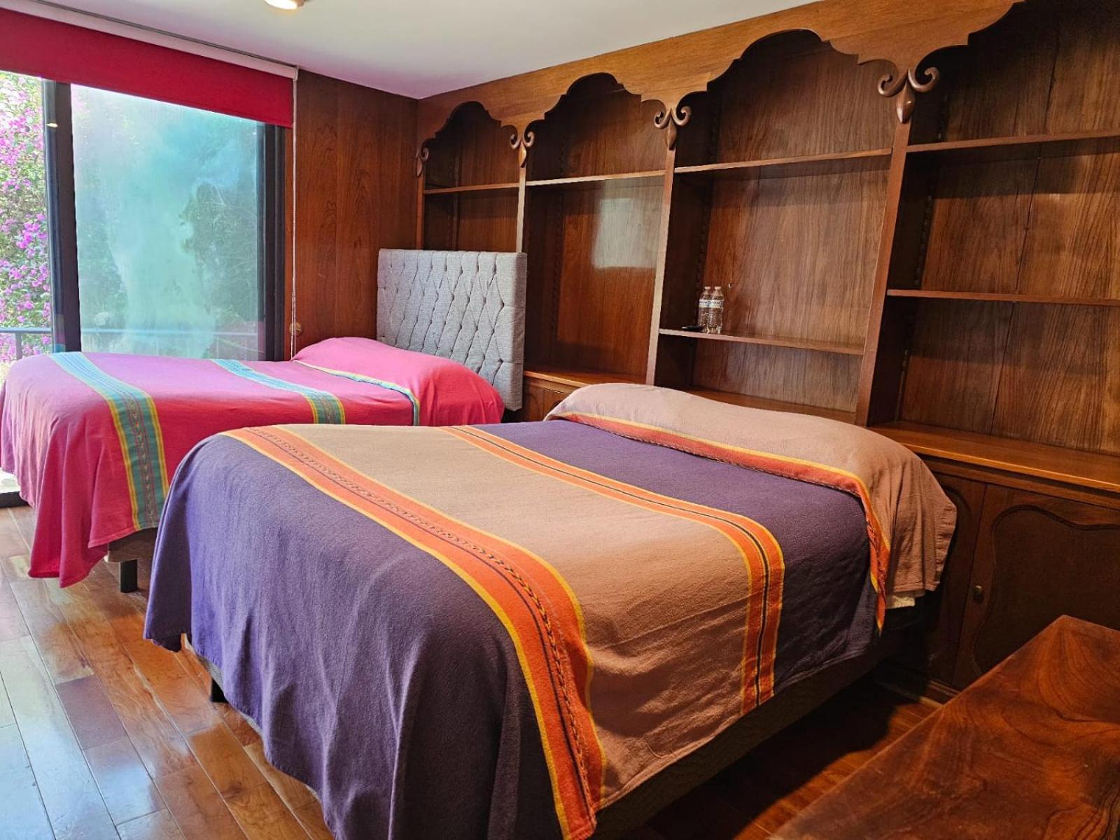 Terraza & Loft San Angel Apartment Mexico City Ngoại thất bức ảnh
