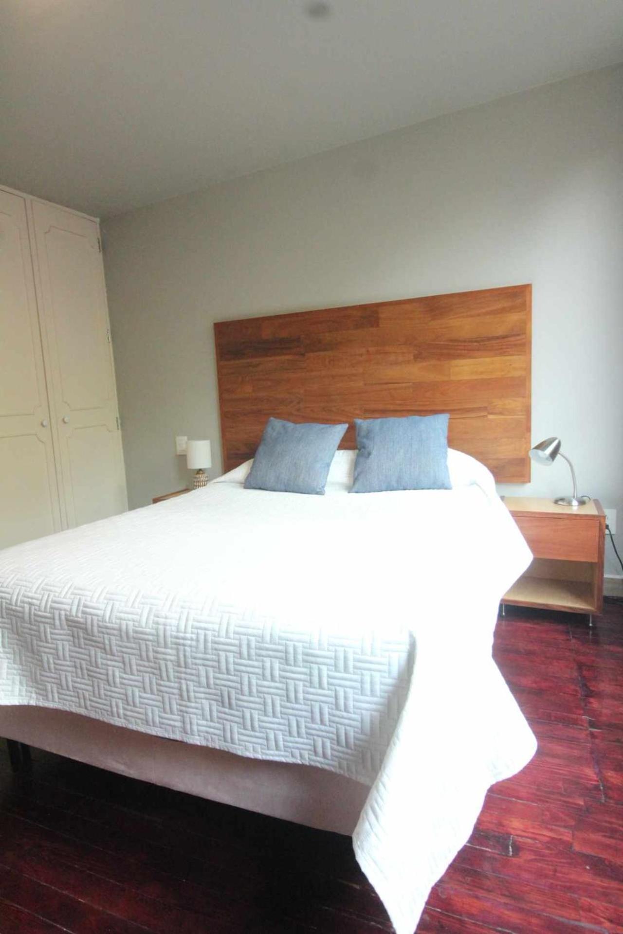 Terraza & Loft San Angel Apartment Mexico City Ngoại thất bức ảnh